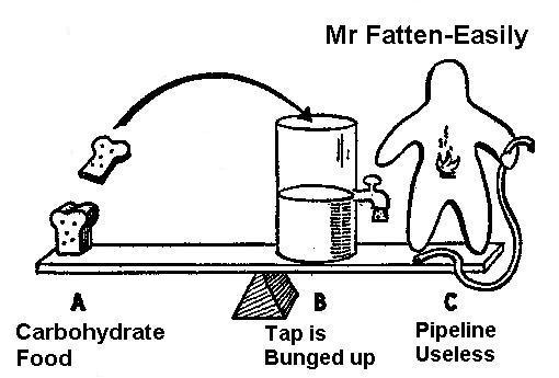  Mr Fatten-Easily 