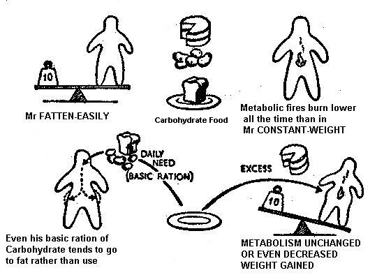 Mr Constant-Weight & Mr Fatten-Easily