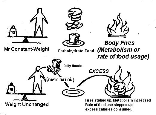 Mr Constant-Weight & Mr Fatten-Easily